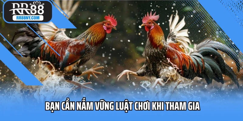 Bạn cần nắm vững luật chơi khi tham gia