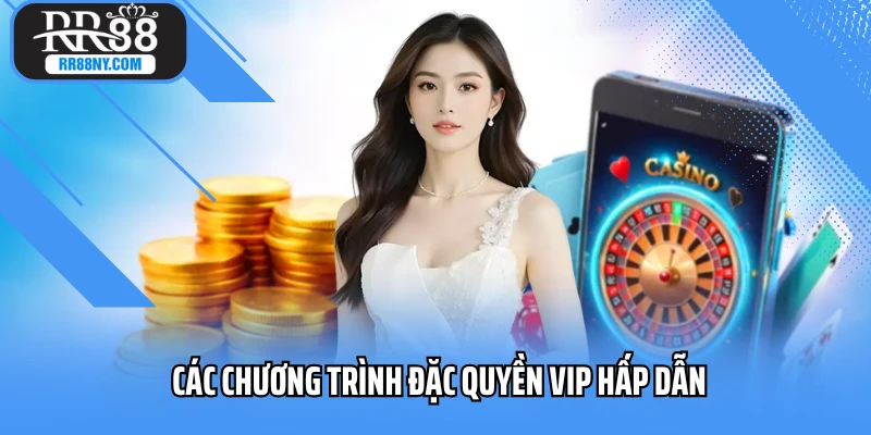 Các chương trình đặc quyền VIP hấp dẫn