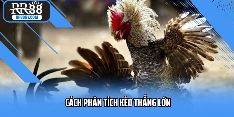 Cách phân tích kèo thắng lớn