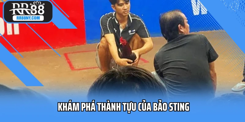 Khám phá tiểu sử Bảo Sting