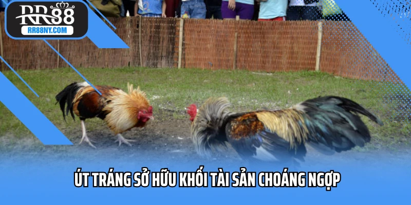 Út Tráng sở hữu khối tài sản choáng ngợp