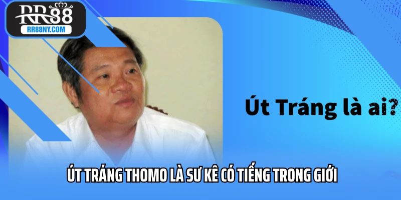 Út Tráng Thomo là sư kê có tiếng trong giới