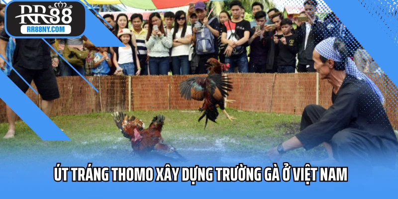 Út Tráng Thomo xây dựng trường gà ở Việt Nam